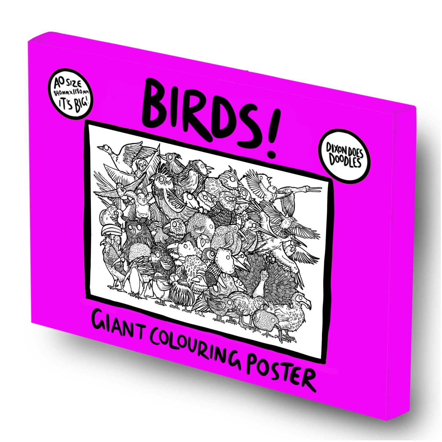 Birds! Giant Colouring Poster. Free Uk Postage