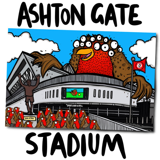 Ashton Gate Stadium - Bristol City Football Club - Print