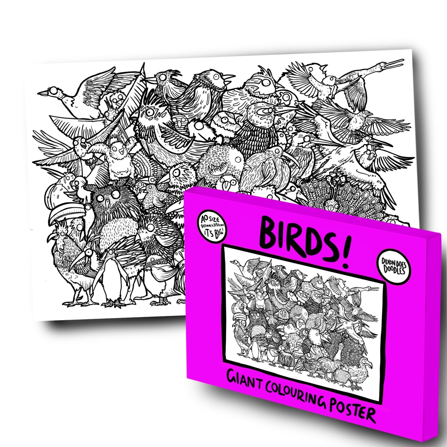 Birds! Giant Colouring Poster. Free Uk Postage