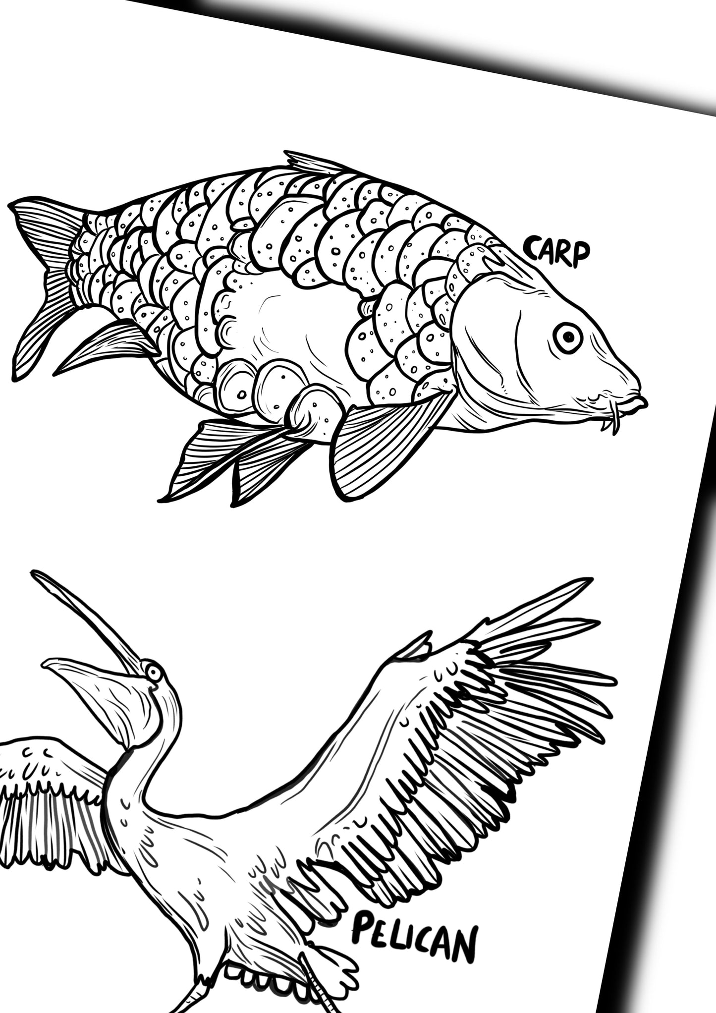 Animals! Colouring Book - A5 - Perfect for rucksack or Stocking