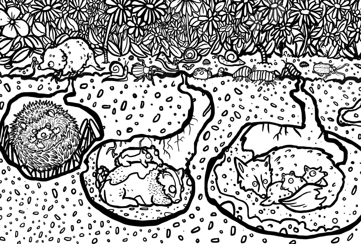 Garden! Giant Colouring Poster Pre-ORDER